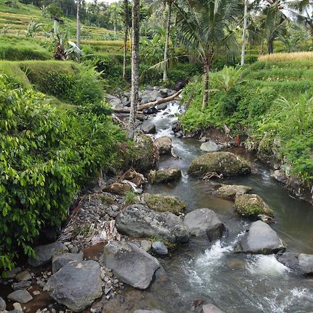 Graha Ayoe Sidemen (Bali) Exterior foto