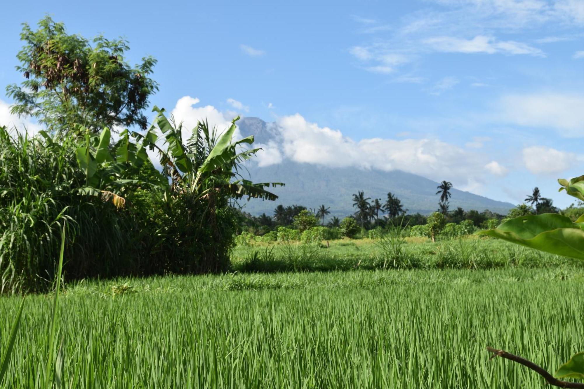 Graha Ayoe Sidemen (Bali) Exterior foto