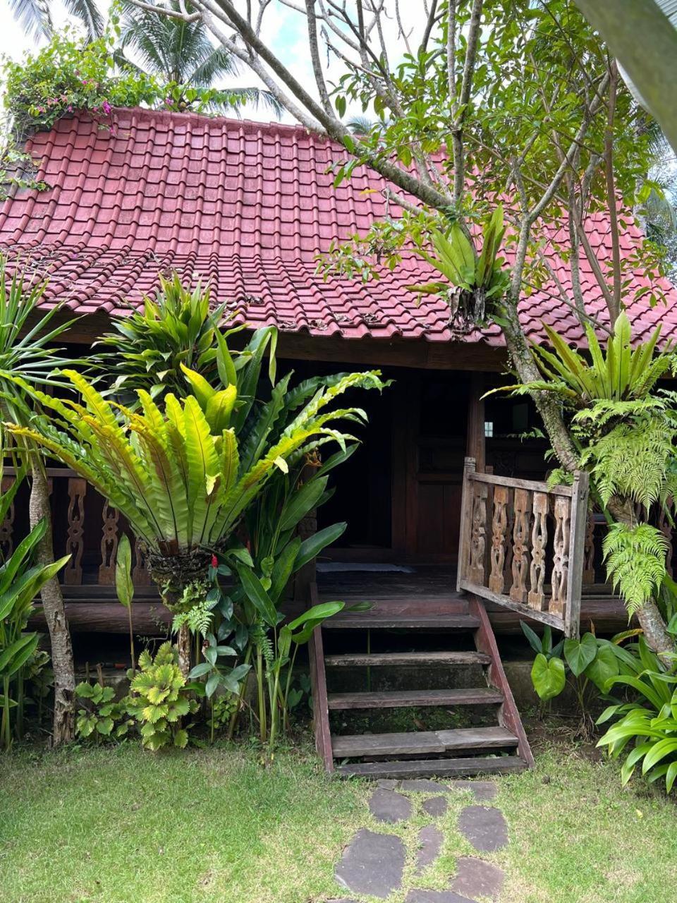 Graha Ayoe Sidemen (Bali) Exterior foto