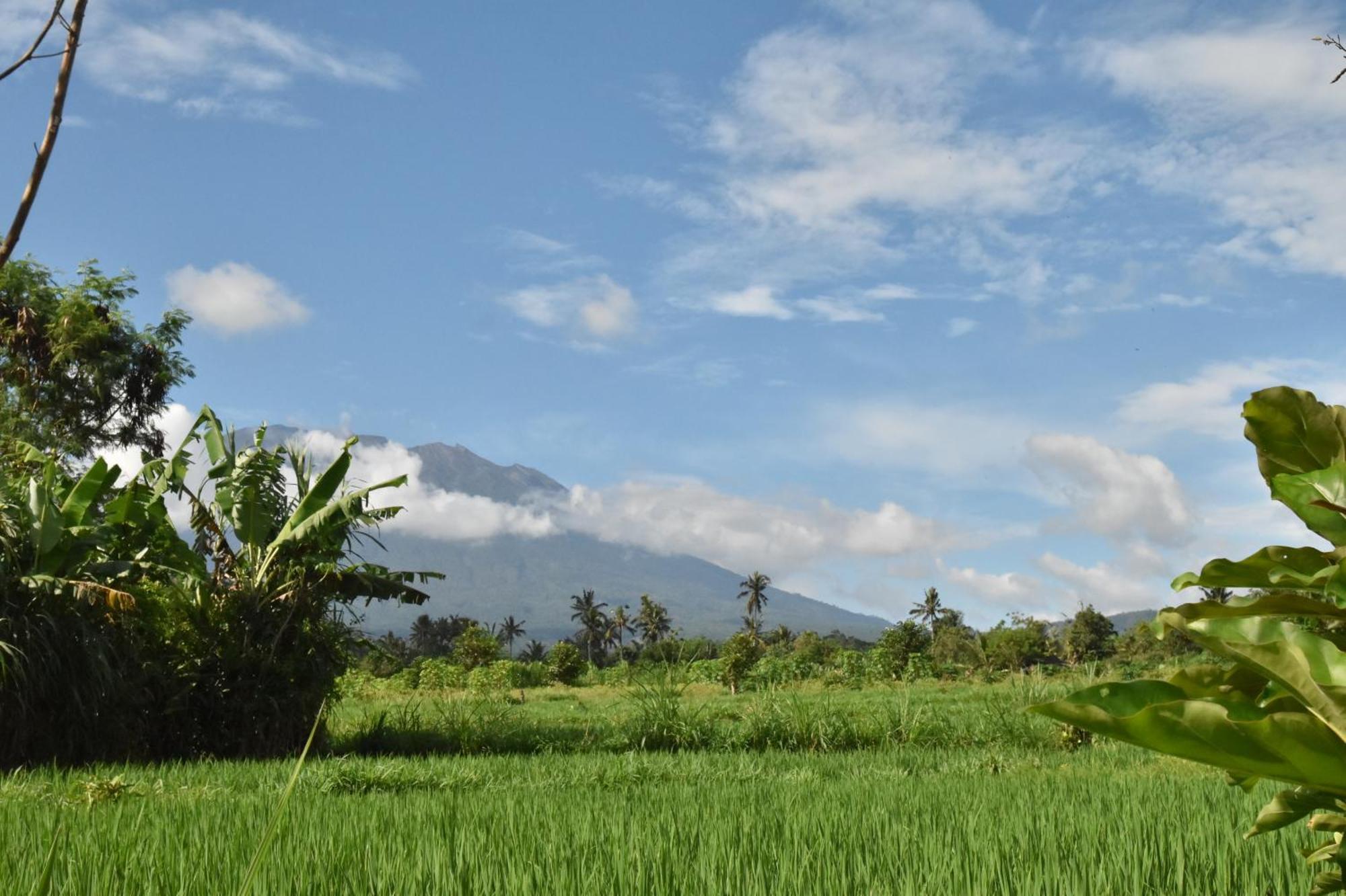 Graha Ayoe Sidemen (Bali) Exterior foto