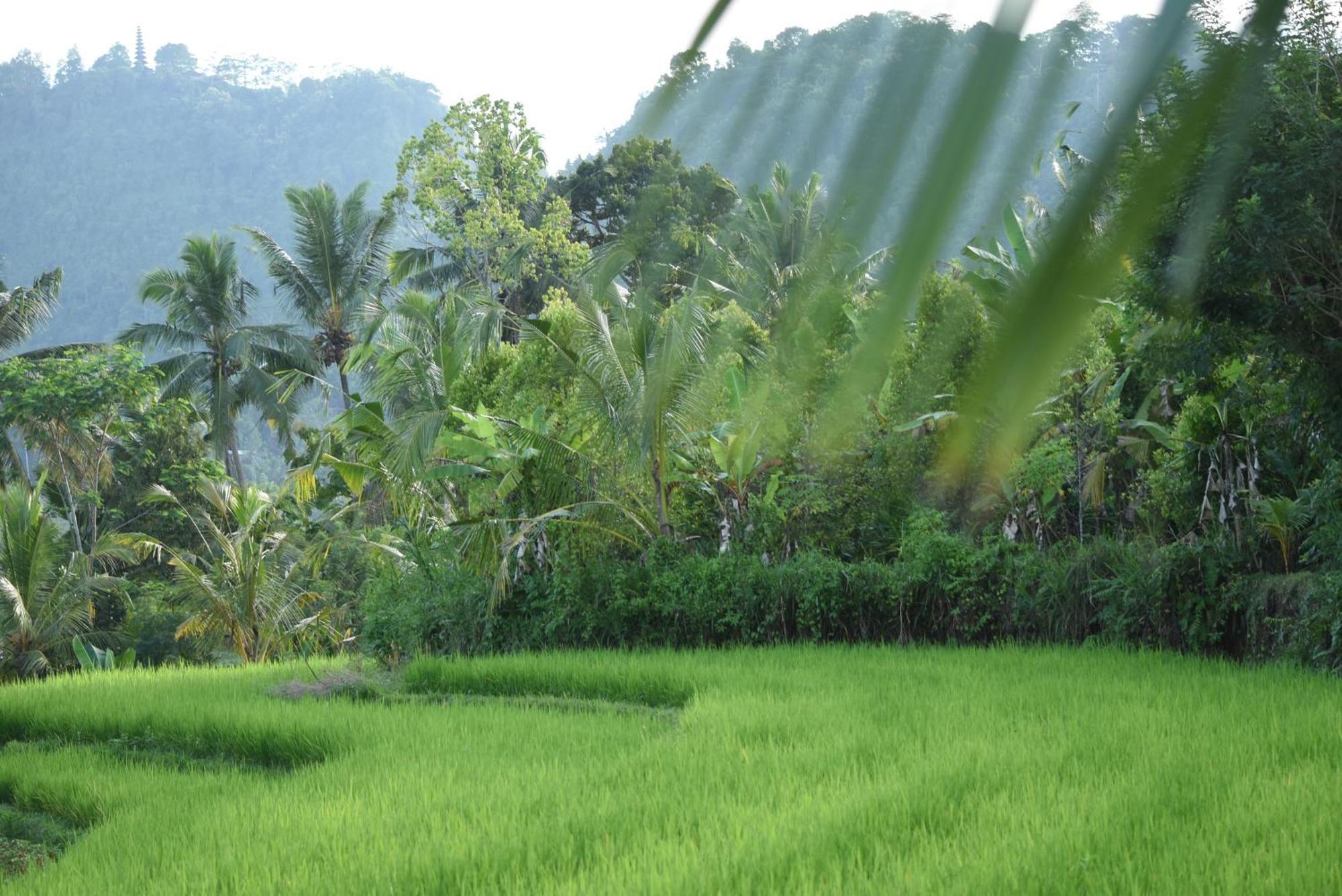 Graha Ayoe Sidemen (Bali) Exterior foto