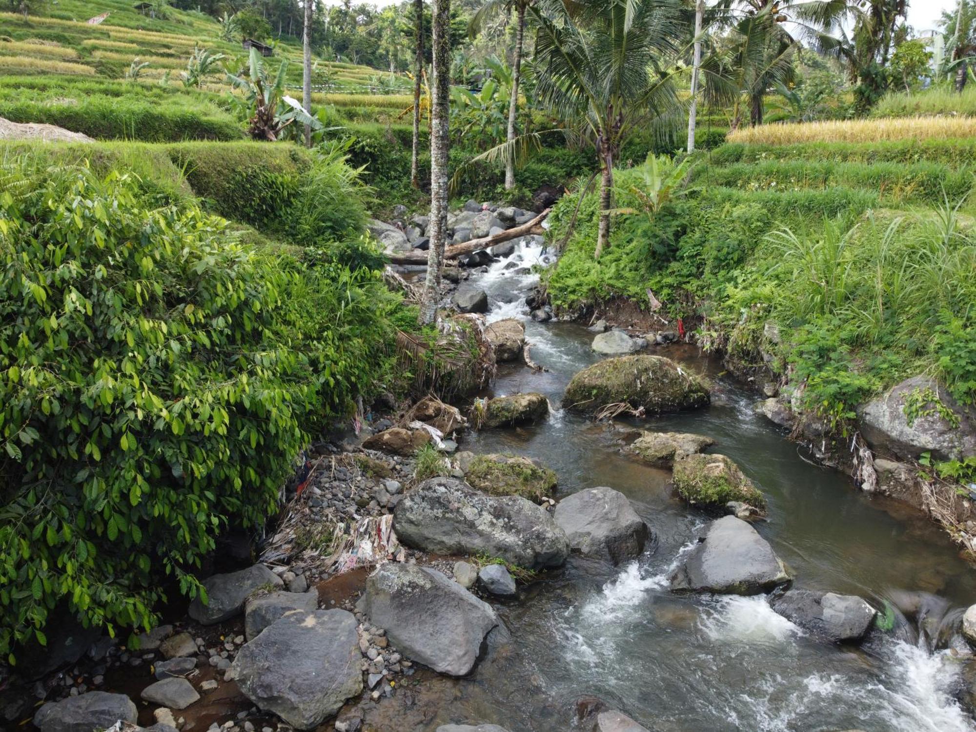 Graha Ayoe Sidemen (Bali) Exterior foto